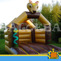 chateaux gonflables